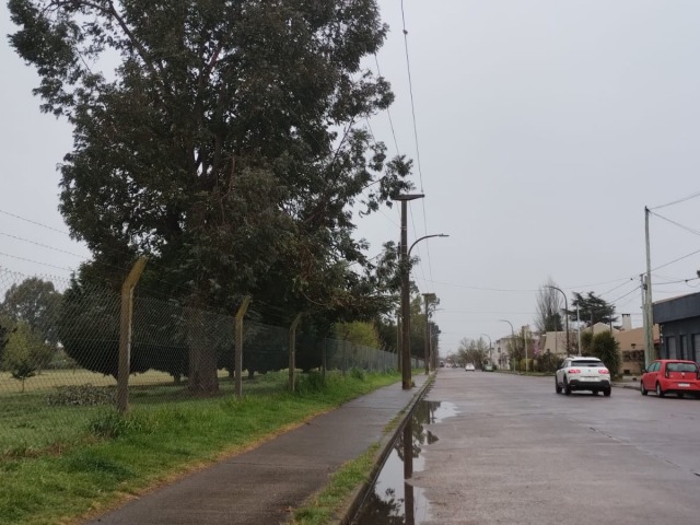 Semana con protagonismo de las lluvias y el sol